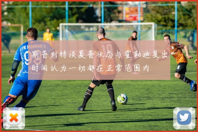 斯普利特谈夏普状态与霍勒迪复出时间认为一切都在正常范围内