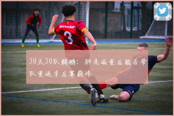 30天30队鹈鹕：胖虎减重后能否带队重返季后赛巅峰