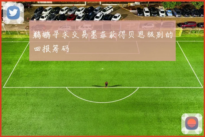 鹈鹕寻求交易墨菲获得贝恩级别的回报筹码