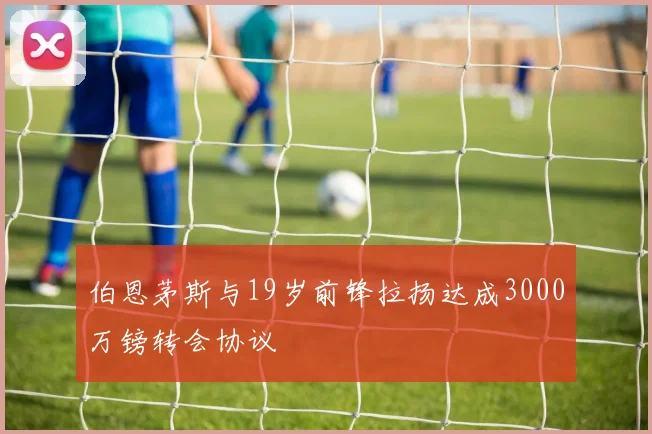 伯恩茅斯与19岁前锋拉扬达成3000万镑转会协议